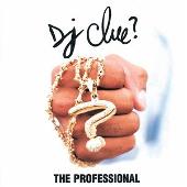 Professional [Clean]