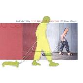 Boys of Summer [CD/12" Single] [Robbins]