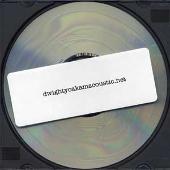 dwightyoakamacoustic.net