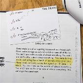 You And I Are A Gang Of Losers EP