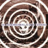Dismemberment Plan Is Terrified