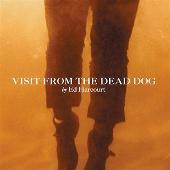 Visit From The Dead Dog/Blondes, Brunettes And Redheads