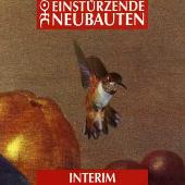 Interim