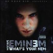 What's Your Nem
