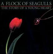 Story of a Young Heart [Bonus Tracks]