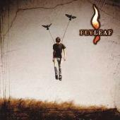 Flyleaf