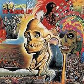 Oh My Gawd!!!...The Flaming Lips