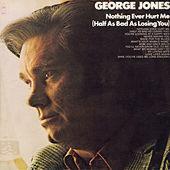 Nothing Ever Hurt Me