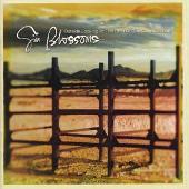 Outside Looking In: The Best of the Gin Blossoms