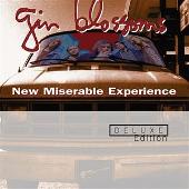 New Miserable Experience [Deluxe Edition]