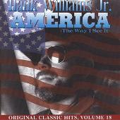 America (The Way I See It)