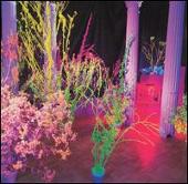 Warehouse: Songs and Stories