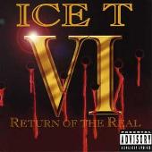 VI: Return of the Real
