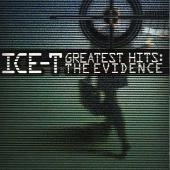 Greatest Hits: The Evidence
