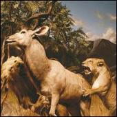 Our Love to Admire [Japan Bonus Tracks]