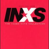 What You Need: The Video Hits Collection [DVD]