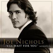 I'll Wait For You (Acoustic Version)