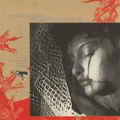 Film Works, Vol. 10: In the Mirror of Maya Deren