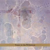 Voices in the Wilderness