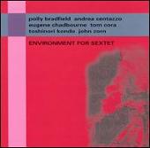 Environment for Sextet