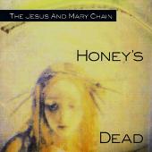 Cobra and Phases Group Play Voltage in the Milky Night [Import Bonus Tracks]