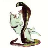 Cat and the Cobra