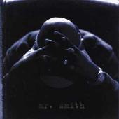 Mr. Smith [Clean]