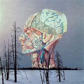 Songs for a Dead Pilot EP