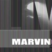 Marvin Gaye Live