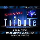 Karaoke Tribute: A Tribute To Mary Chapin Carpenter