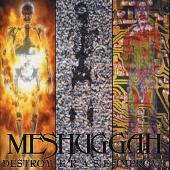 Destroy Erase Improve (Explicit)