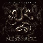 Catch Thirty-Three