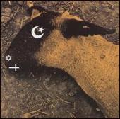 Animositisomina [DualDisc]