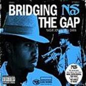 Bridging the Gap [Import CD]