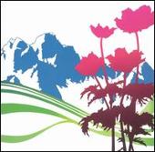 International [Bonus Disc]