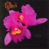 Orchid [Bonus Track]