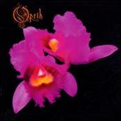 Orchid [Limited Edition]