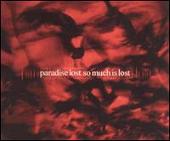 So Much Is Lost