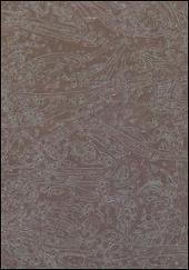 After the Ceiling Cracked [DVD/CD]