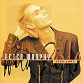 Wild Birds 1985-1995: The Best Of The Beggars Banquet Years