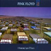 A Momentary Lapse Of Reason