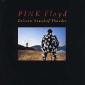 Delicate Sound Of Thunder