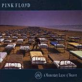 Momentary Lapse of Reason