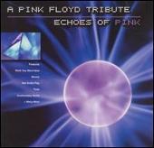 Echoes of Pink: A Tribute