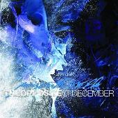 The Opposite Of December...A Season Of Separation