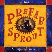 Life of Surprises: The Best of the Videos