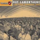 Live From Bonnaroo 2005
