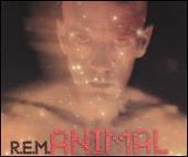 Animal/South Central Rain