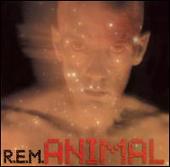 Animal/Pretty Persuasion/Welcome to the Occupation