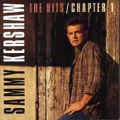 Hits: Chapter 1